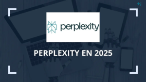 Avis Perplexity