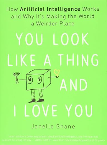 couverture livre intelligence artificielle you look like a thing and i love you 