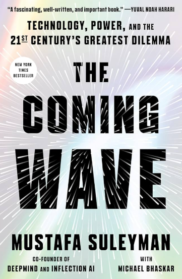 the coming wave livre