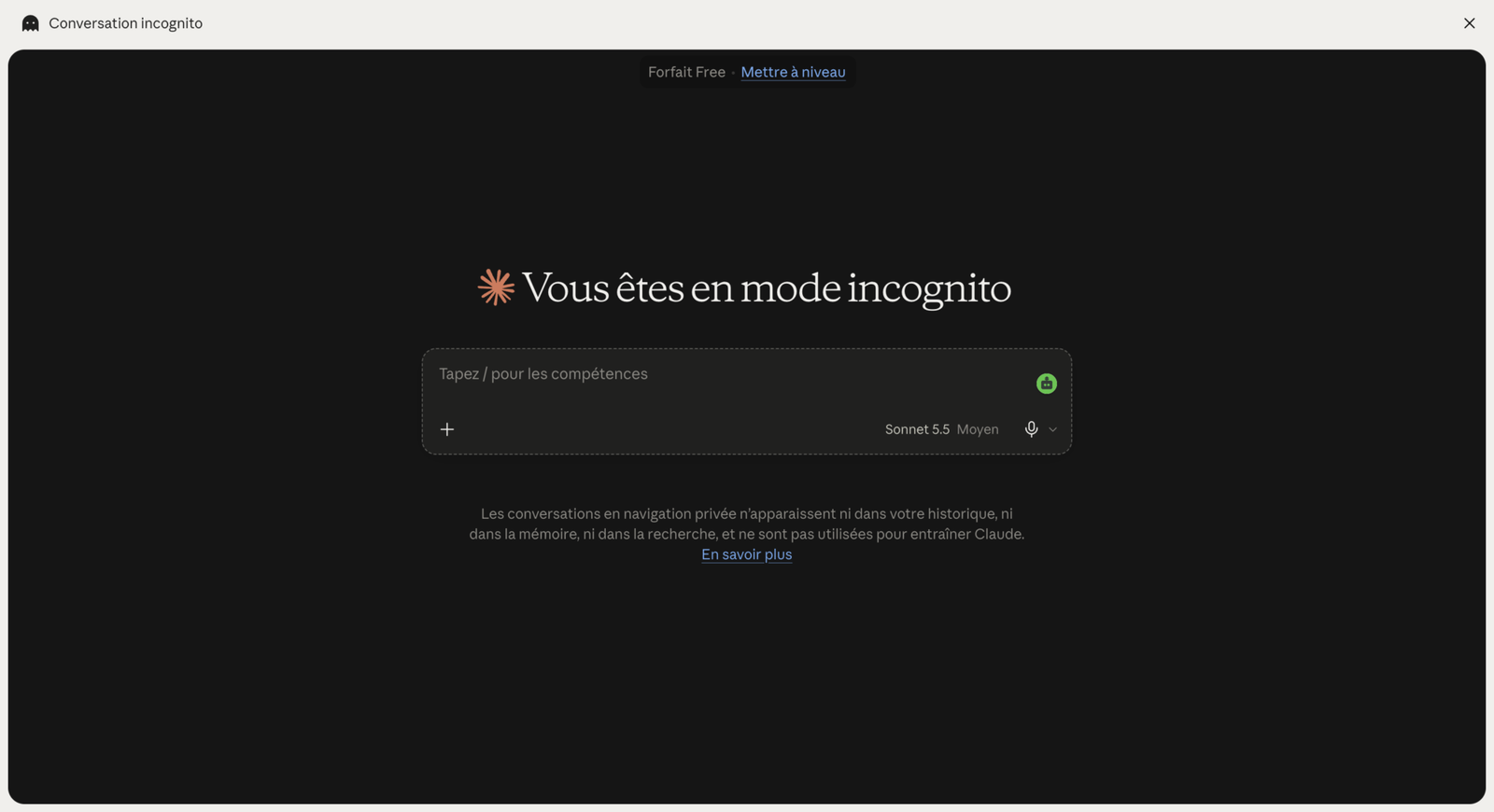 chat conversation incognito claude